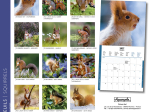 Calendrier 2027 Ecureuils 16,5 x 16,5 cm