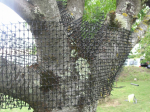 Grille Stop Chat