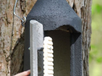Gîte à chauve-souris Schwegler 2F DPF