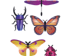 Insectes 3D en papier, DIY