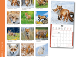 Calendrier 2025 Renards 16,5 x 16,5