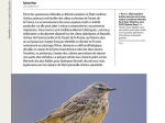 Ornithos n°173 - 4ème trim. 2025