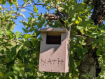 Nichoir à rougequeue semi-ouvert en béton de bois