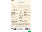 Graines Bio Sauge Verte