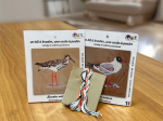 Pack Broderie