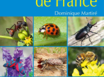 Les insectes de France, nouvelle édition