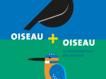 Oiseau + Oiseau, La mathématique des oiseaux