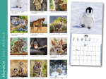 Calendrier 2026 Bébés animaux 16,5 x 16,5 cm