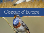 Guide des oiseaux d'Europe - Manuel d'identification photographique