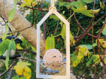 Carte pop-up Mangeoire Oiseaux LPO