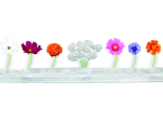 Graines bio de fleurs utiles et comestibles