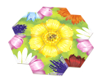 Petals