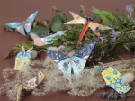 Kit Origami, Insectes