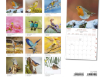 Calendrier 2026 Oiseaux 30 x 30 cm
