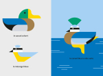 Oiseau + Oiseau, La mathématique des oiseaux