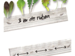 Ruban de graines Mesclun niçois