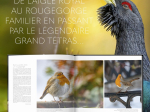 Extraordinaires oiseaux