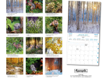 Calendrier 2027 Dans les forêts 30 x 30 cm
