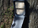 Gîte à chauve-souris Schwegler 3FF avec trappe d'inspection