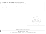 Carte postale naturaliste - Bergeronnette printanière