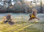 Anti-collisions électrostatiques Oiseaux des jardins - Lot de 4