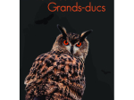 Histoires de Grands-Ducs