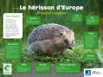 Kit pédagogique Connaître le hérisson