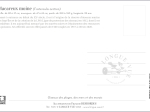 Carte Postale simple 10 X 15 cm Macareux moine