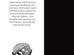 Blaireau et la Nuit noire