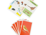 Le Pouillot ! – Associe les couples d’oiseaux
