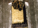 Gîte à chauve-souris Schwegler 2FN