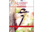 Carnet LPO - Pic épeiche