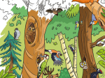 Frise de coloriage LPO - L'arbre de la biodiversité