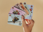 Budizz, le jeu de cartes coopératif