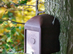 Gîte à loir Schwegler 1KS