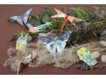 Kit Origami, Insectes