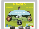 Memolo XL - 12 animaux des forêts