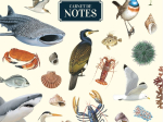 Carnet de notes A5 - Échos marins