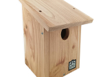 Nichoir LPO Rougequeue à front blanc