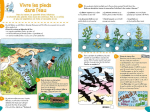 Mon cahier de jeux au fil de l'eau