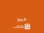 Carnet LPO - Renard