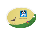 Éventail pédagogique LPO - Identifier les limicoles