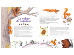 Histoires Nature de la Petite Salamandre