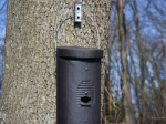 Gîte à chauve-souris Schwegler 1FS