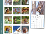 Calendrier 2026 Écureuils 16,5 x 16,5 cm