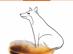 Carnet LPO - Renard