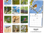 Calendrier 2027 Oiseaux des jardins 16,5 x 16,5 cm