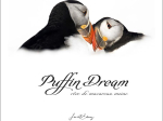 Puffin Dream