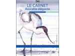 Carnet LPO - Avocette élégante