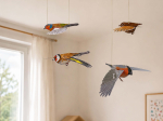 Lot de 4 mobiles Oiseaux n°2 - LPO x CPN